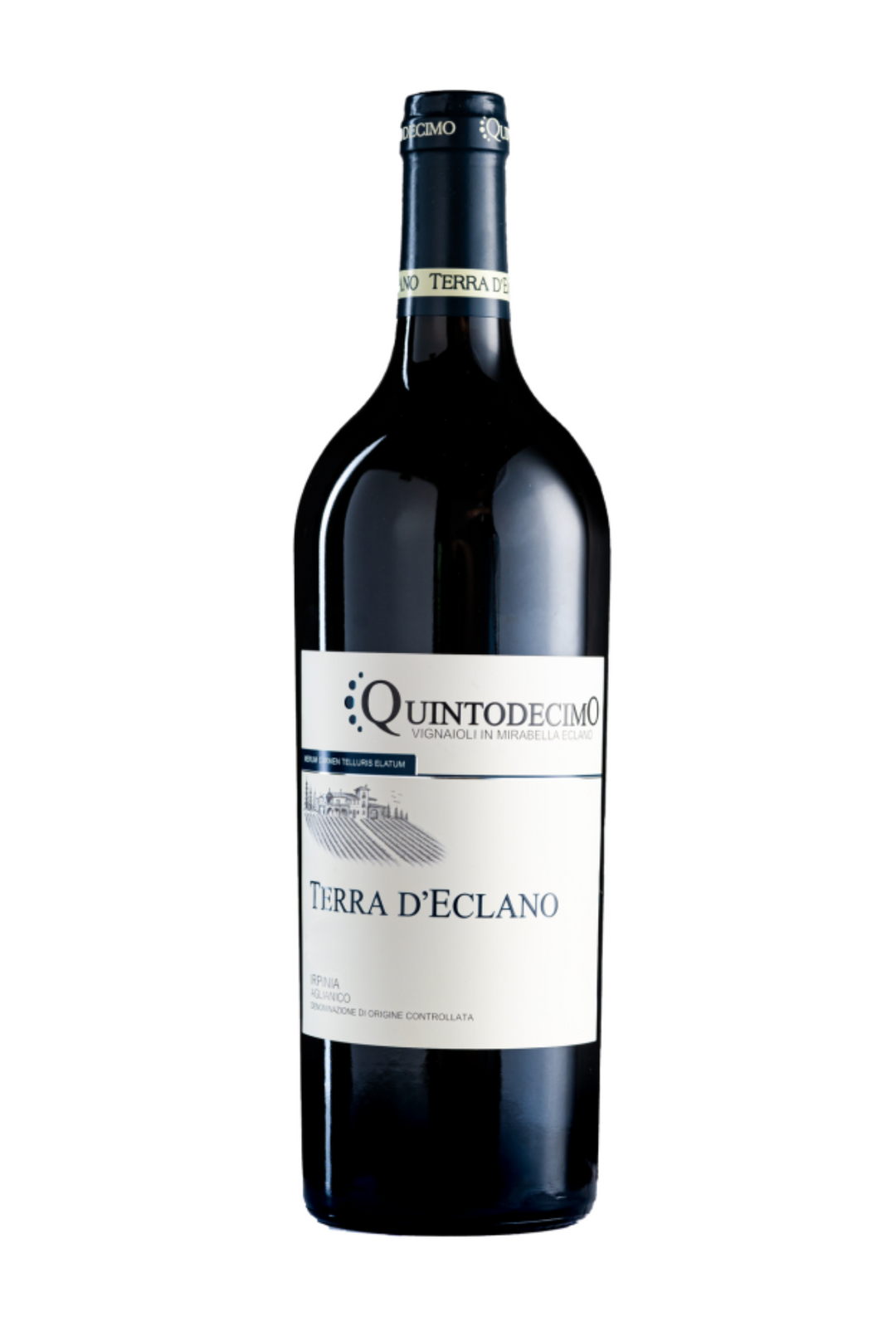 Terra D'Eclano Irpinia Aglianico Quintodecimo - 2021