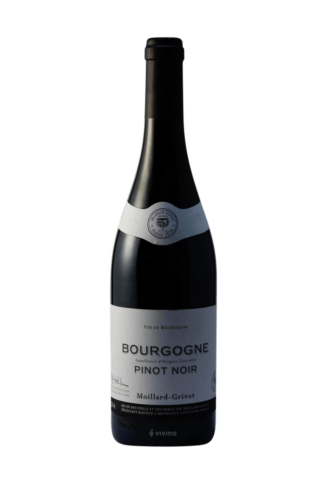 Pinot Noir Bourgogne 2021 Moillard - Grivot